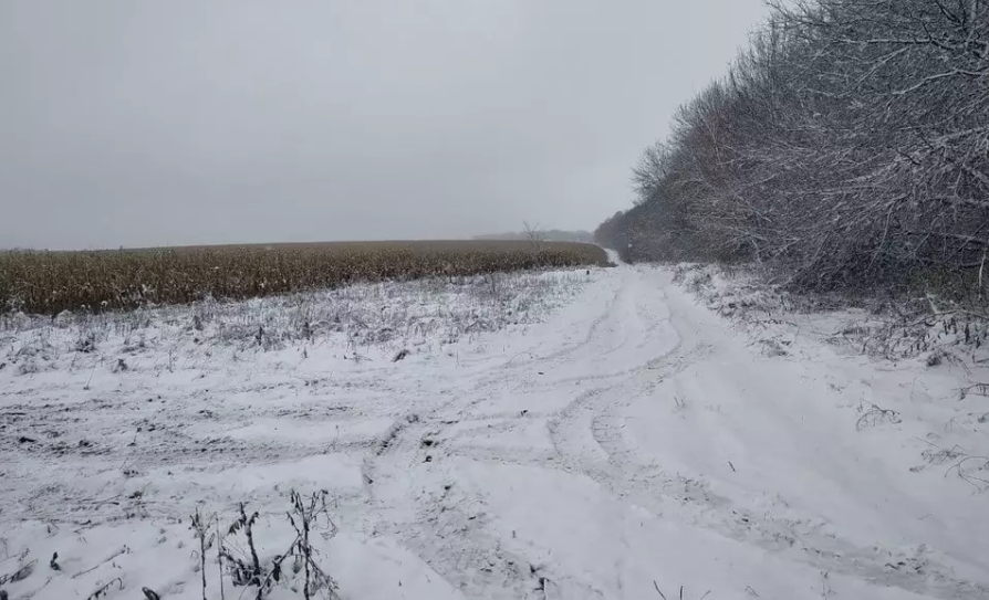 Одинаковые кресты с номерами в поле кукурузы: как в Украине хоронят бездомных
